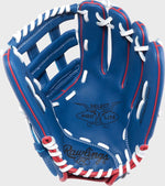 SELECT PRO LITE 12-INCH ROMAN ANTHONY GLOVE