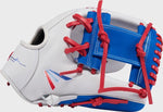 PROFESSIONAL COLLECTION 12" FASTPITCH GLOVE