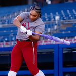 2027 RAWLINGS HALO FASTPITCH SOFTBALL BAT, -8, -9, -10, -11