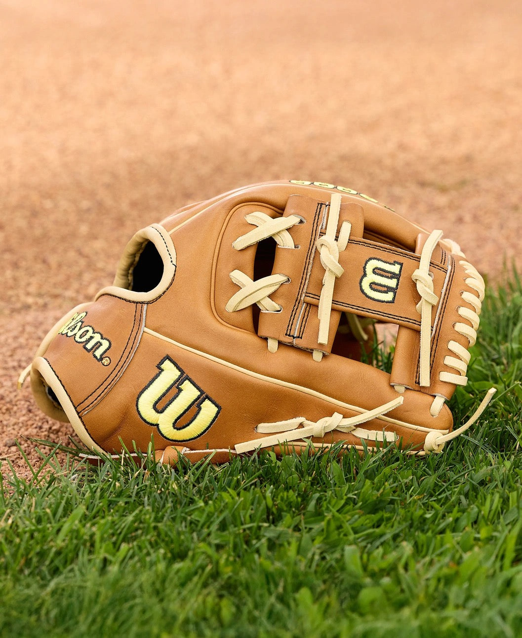Baseball Gloves